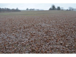 Property photo 21 - FARM AUCTION - 60.5+/- ACRES IN 5 TRACTS IN ALLEN COUNTY, INDIANA